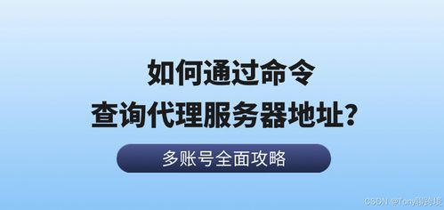 如何通過命令查詢代理服務(wù)器地址 以票務(wù)代理服務(wù)為例